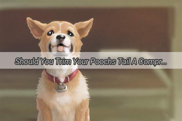 Should You Trim Your Poochs Tail A Comprehensive Guide to Tail Cutting in Dogs